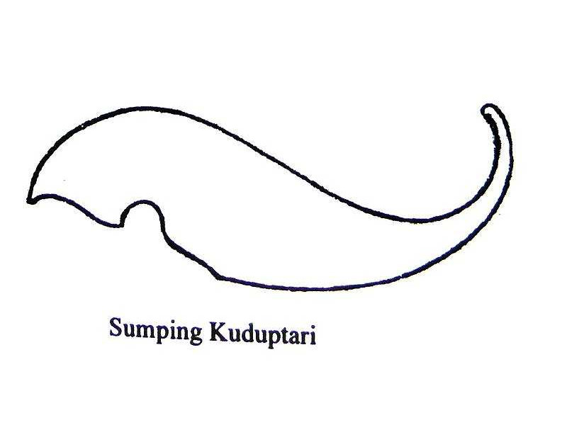 sumping-kuduptari-ear ornaments-sunarto 122.jpg